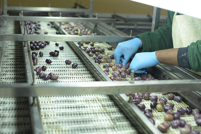 Productos Maifre